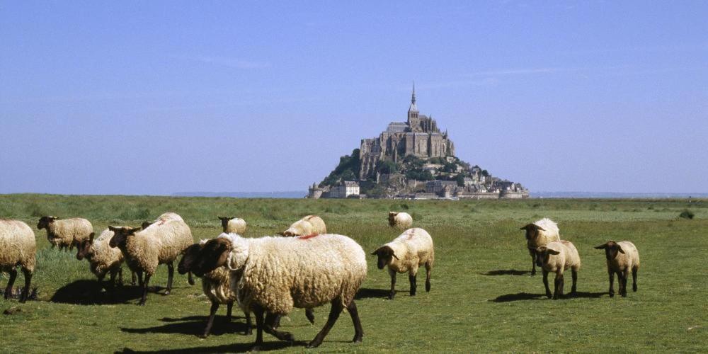 Chambres D'Hotes Avec Piscine Aux Agapanthes De Cromel - Mont Saint Michel 外观 照片